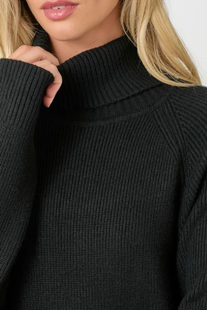 TURTLENECK SWEATER DRESS