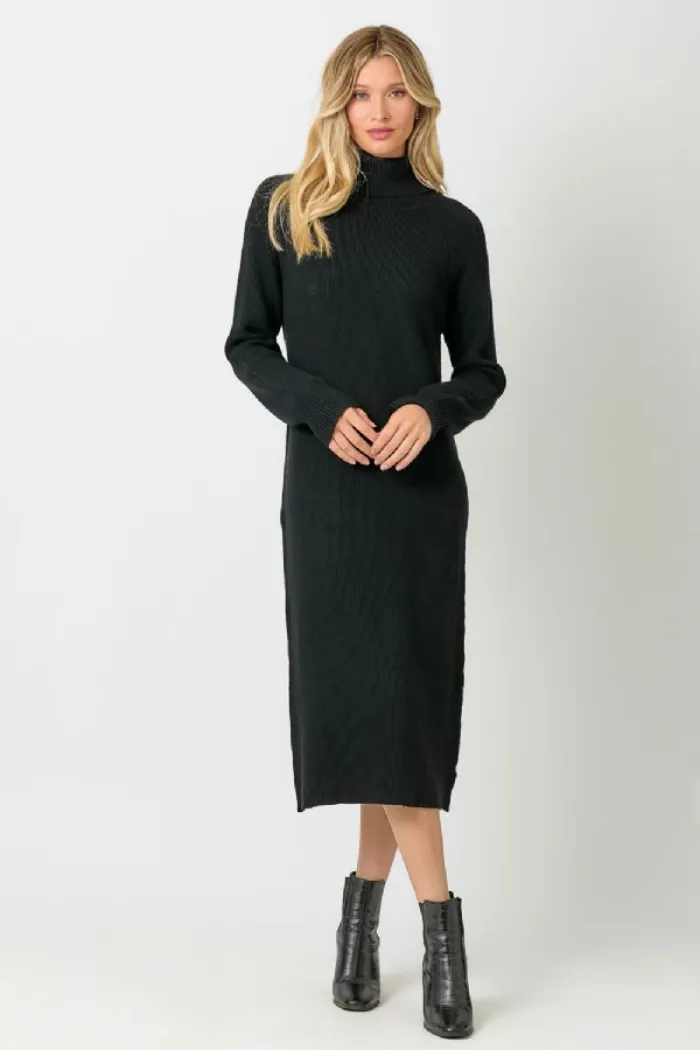 TURTLENECK SWEATER DRESS