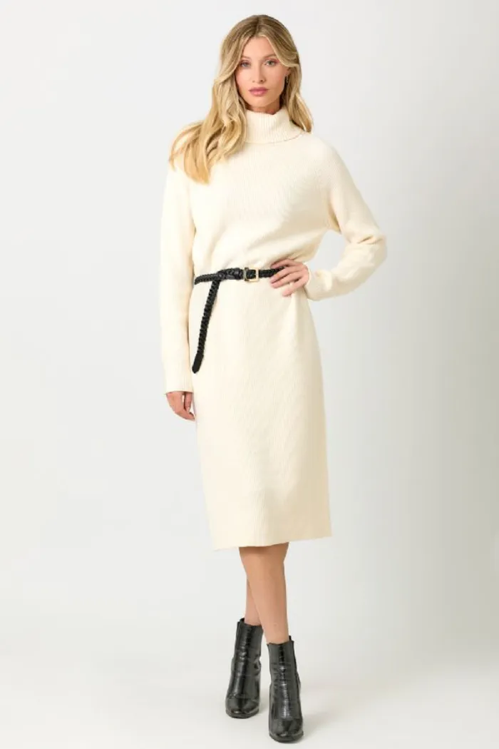 TURTLENECK SWEATER DRESS