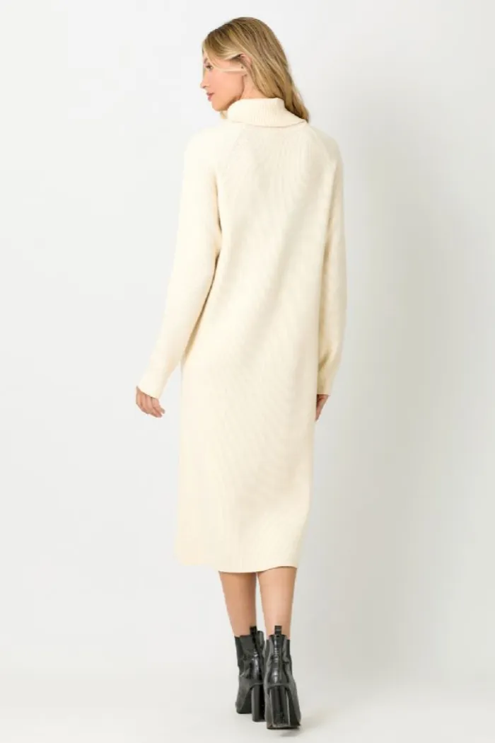 TURTLENECK SWEATER DRESS