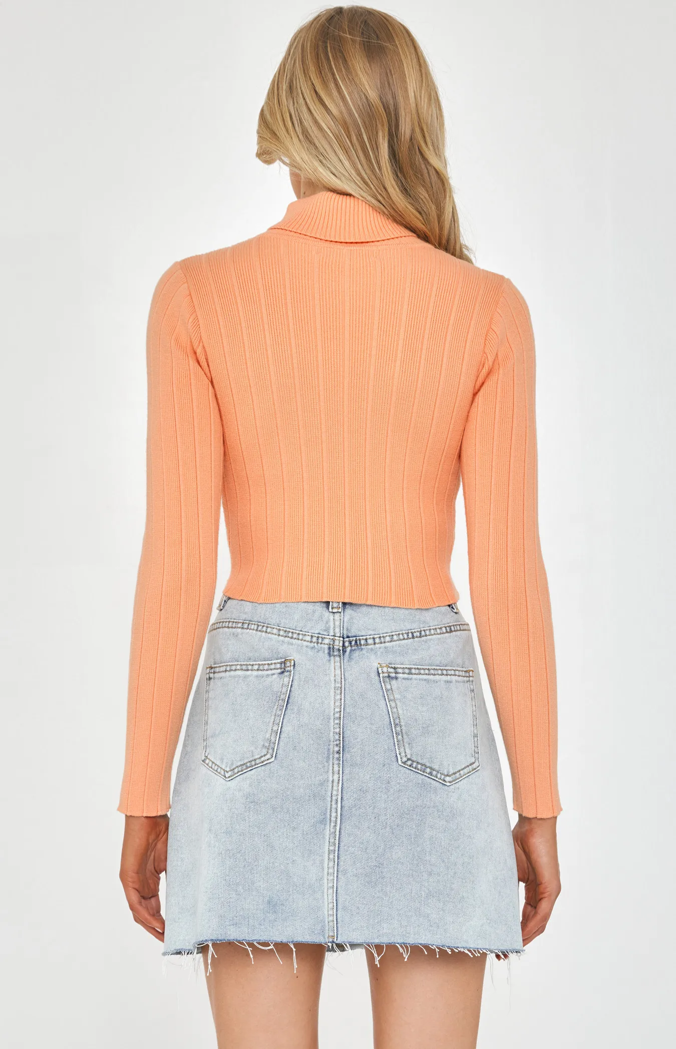 Turtleneck Wide Rib Textured Knit Crop (SKN453)